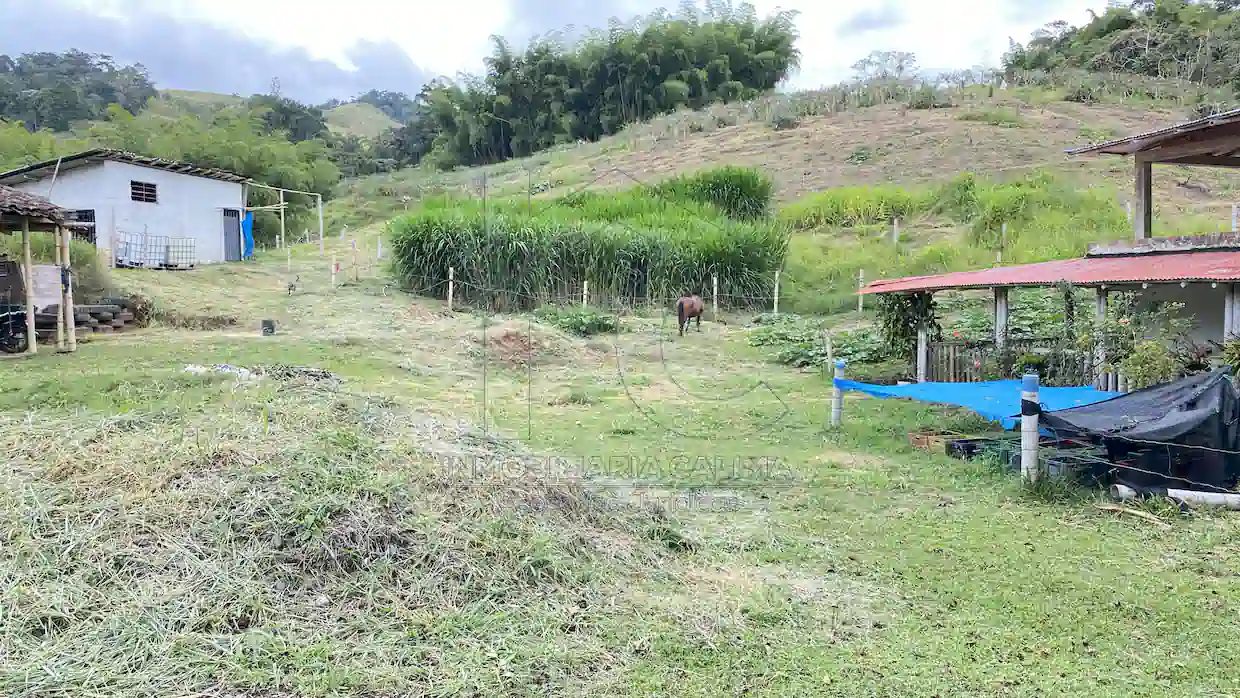Finca El Diamante